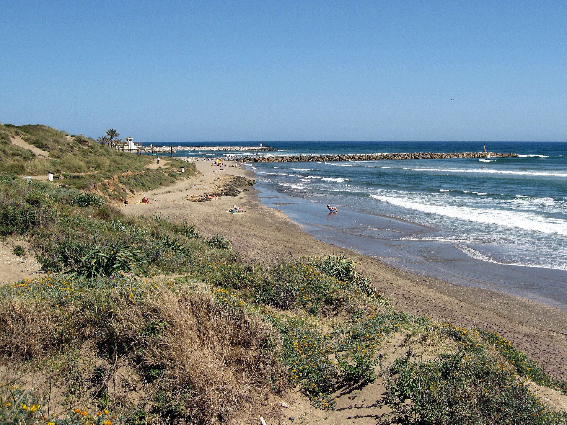 Artola-Cabopino Beach and its dune-backed shoreline in Marbella